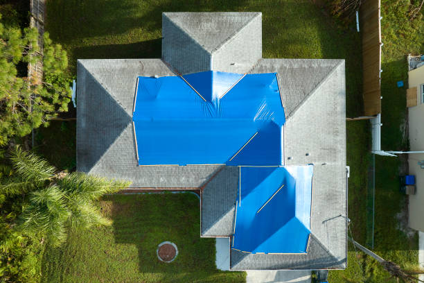 Best Asphalt Shingle Roofing  in Vla Park, IL