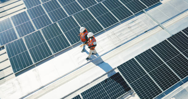 Best Storm Damage Roof Repair  in Vla Park, IL