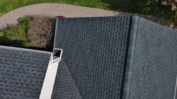 Best Asphalt Shingles Roofing  in Vla Park, IL