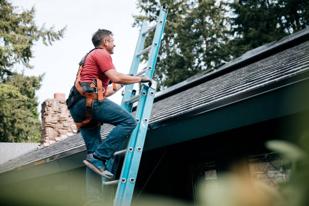 Best Flat Roofing  in Vla Park, IL