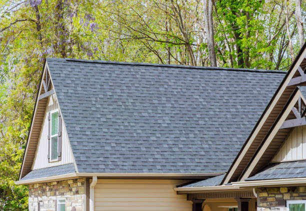 Best Rubber Roofing (EPDM, TPO)  in Vla Park, IL