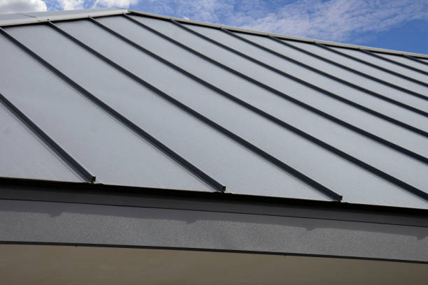 Best Metal Roofing Installation  in Vla Park, IL