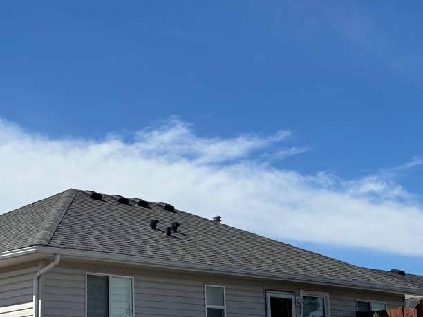 Best Roof Coating and Sealing  in Vla Park, IL